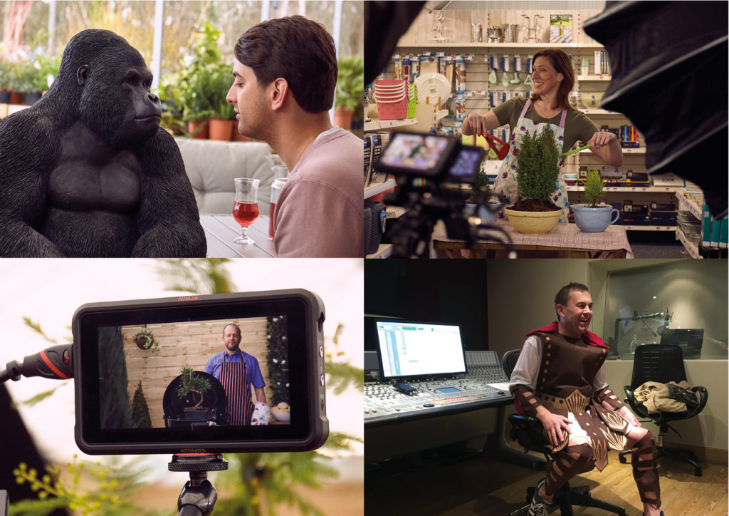 From Gorillas to Gladiators